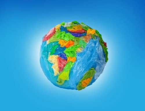 Dita e Tokës 2024, “Planeti kundër plastikës”